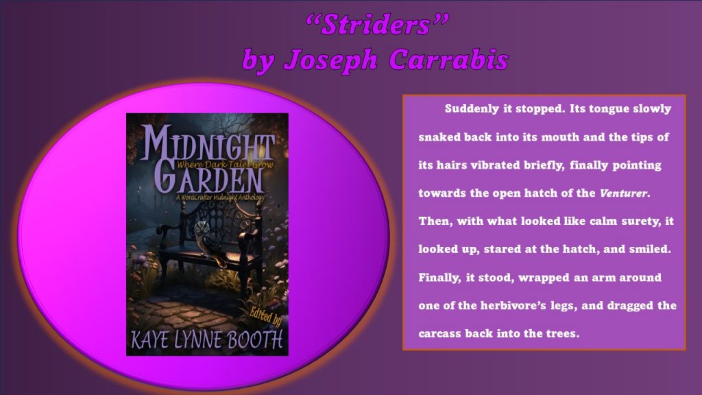 Image of the Midnight Garden cover scene with overlay text from Joseph's story "Striders."