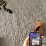 Top Book Picks of 2024