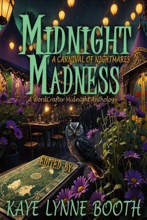 Midnight Madness anthology cover image.